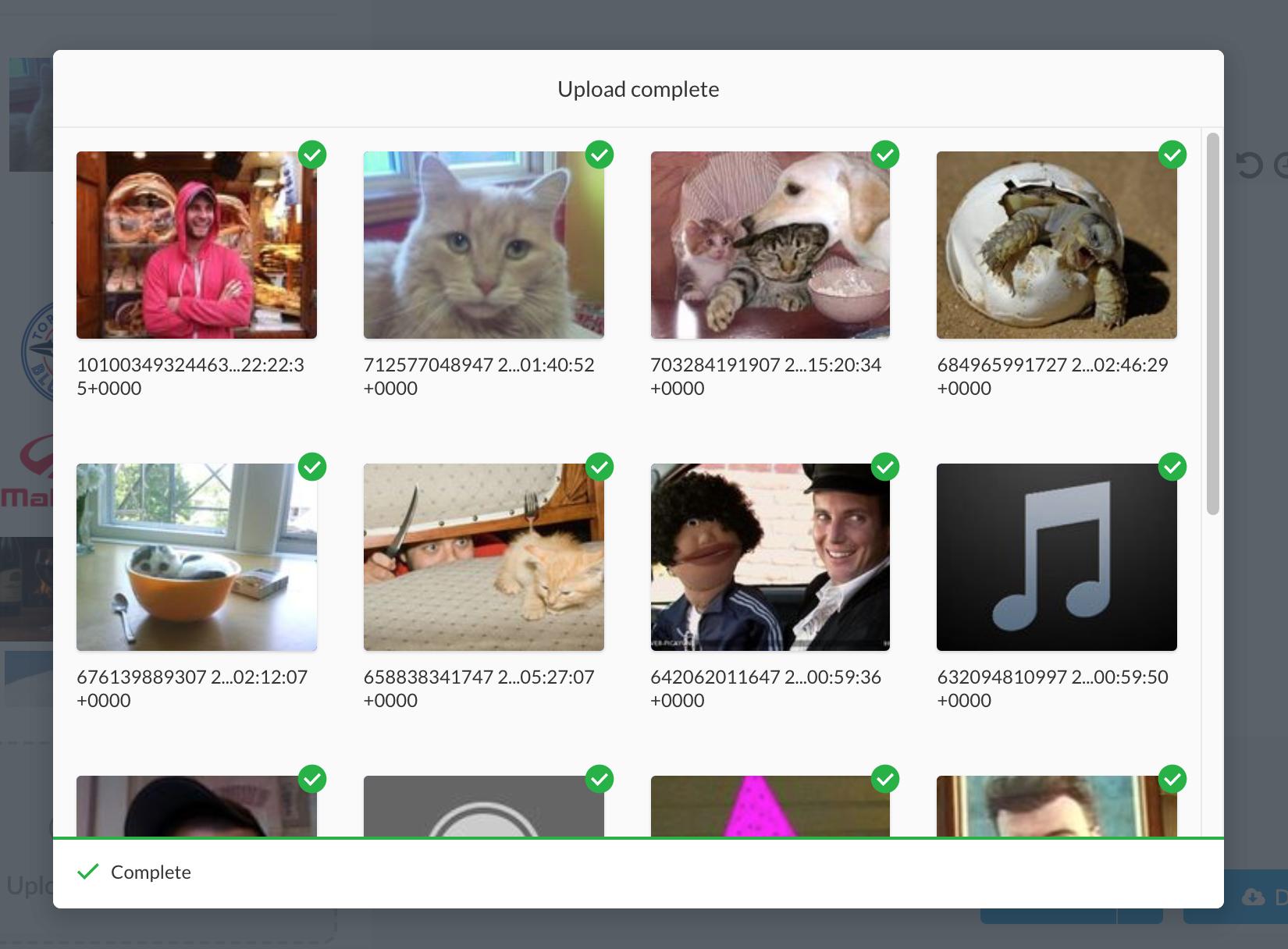 Import photos from your Facebook account into Stencil